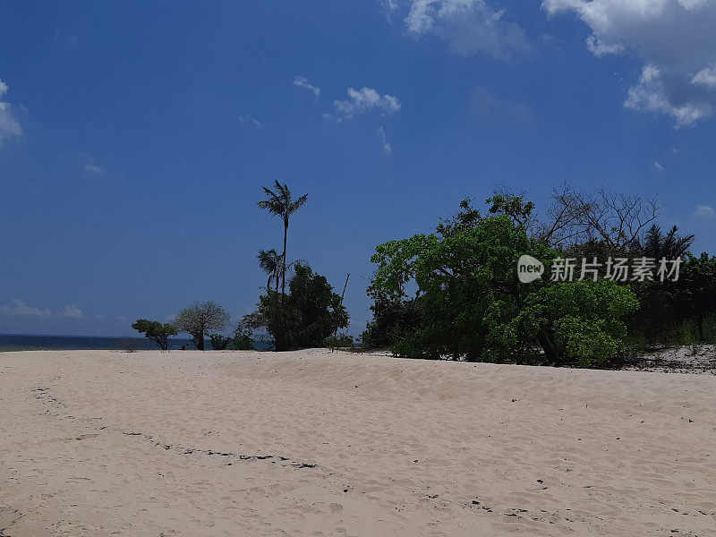 亚马逊地区- TAPAJOS - PARA